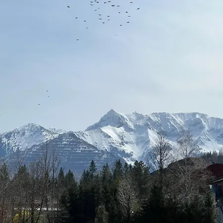 Apartmán Alpine Rosy *