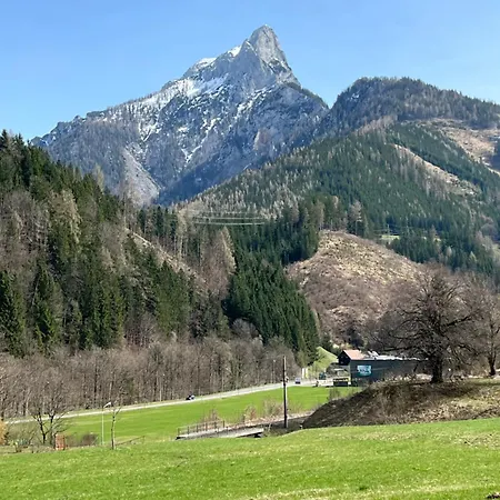 Alpine Rosy