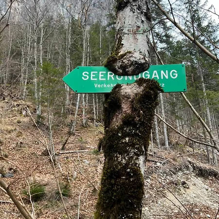 Alpine Rosy Apartment Eisenerz