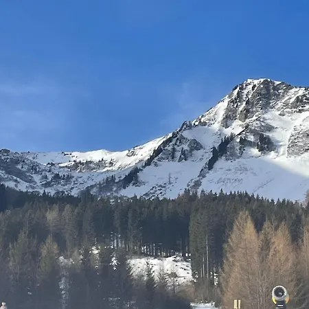 Alpine Rosy