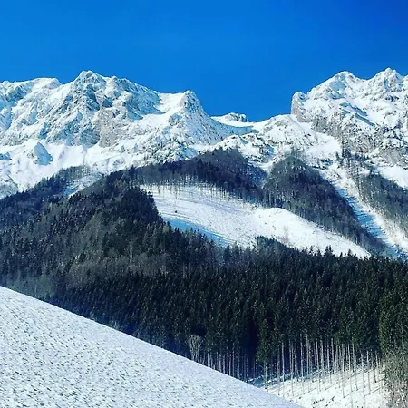 Alpine Rosy