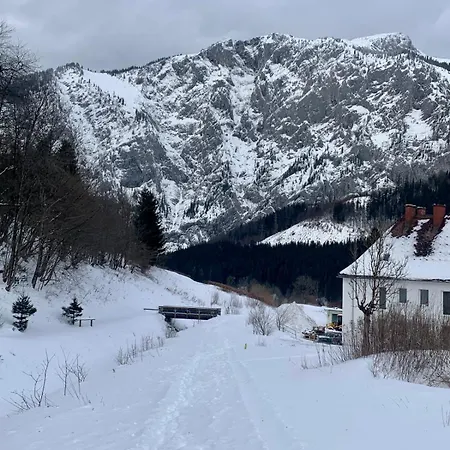 Alpine Rosy Eisenerz