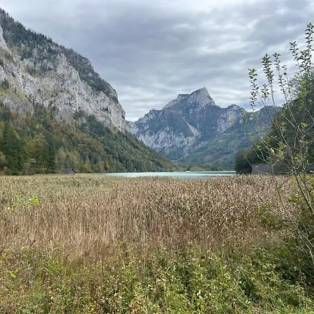 Alpine Rosy Apartmán *