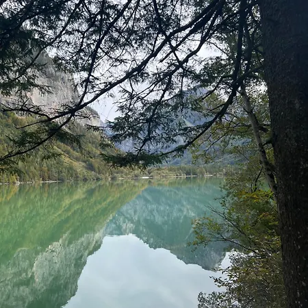 Alpine Rosy * إيسينيرزير