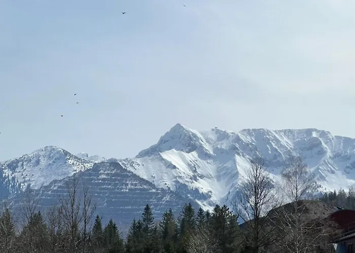 Lägenhet Alpine Rosy *