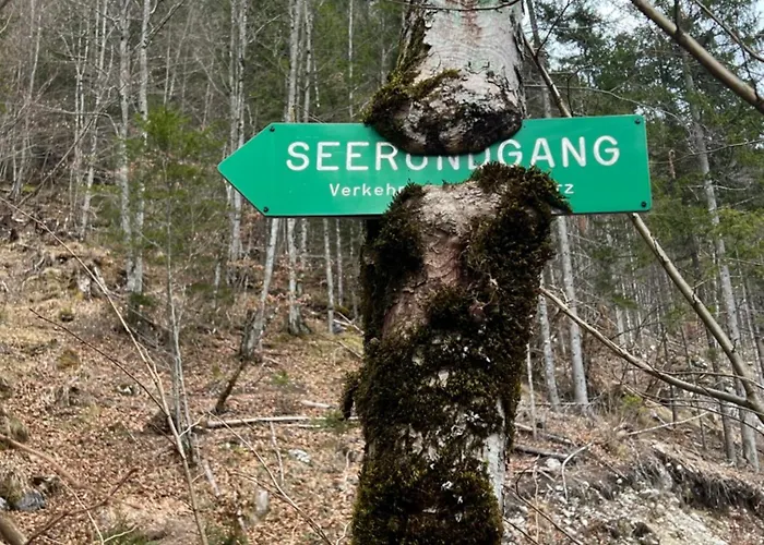 Alpine Rosy Lägenhet Eisenerz