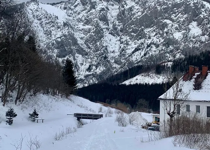 Alpine Rosy Eisenerz