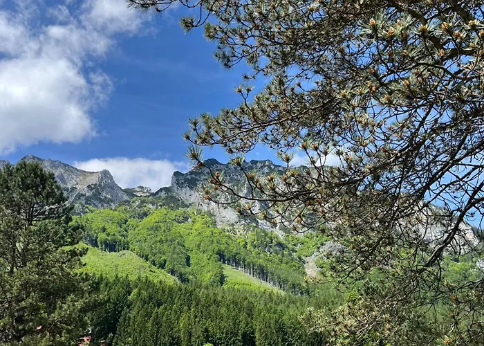 Alpine Rosy * Eisenerz