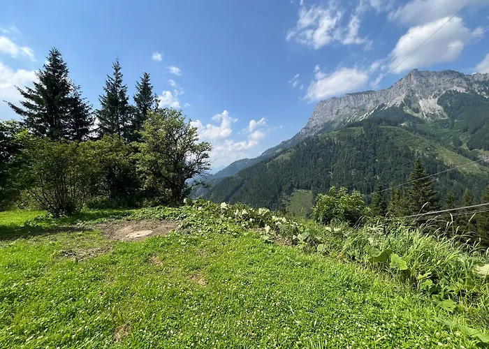 Alpine Rosy Eisenerz