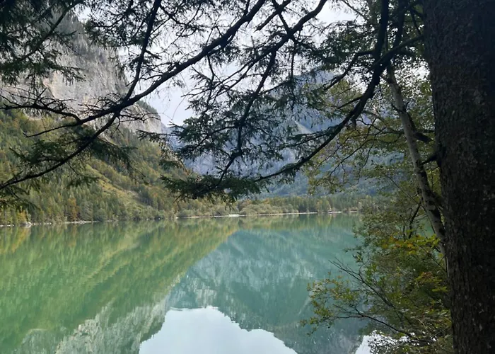 Alpine Rosy * Eisenerz